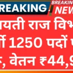 Panchayati Raj vibhag vacancy