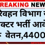 Transport Sub Inspector